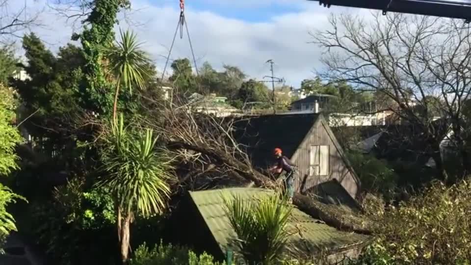 Lifting a storm-fallen tree clear of a house.