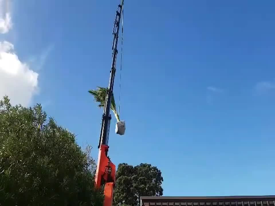 A palm taken out over the boundary line.