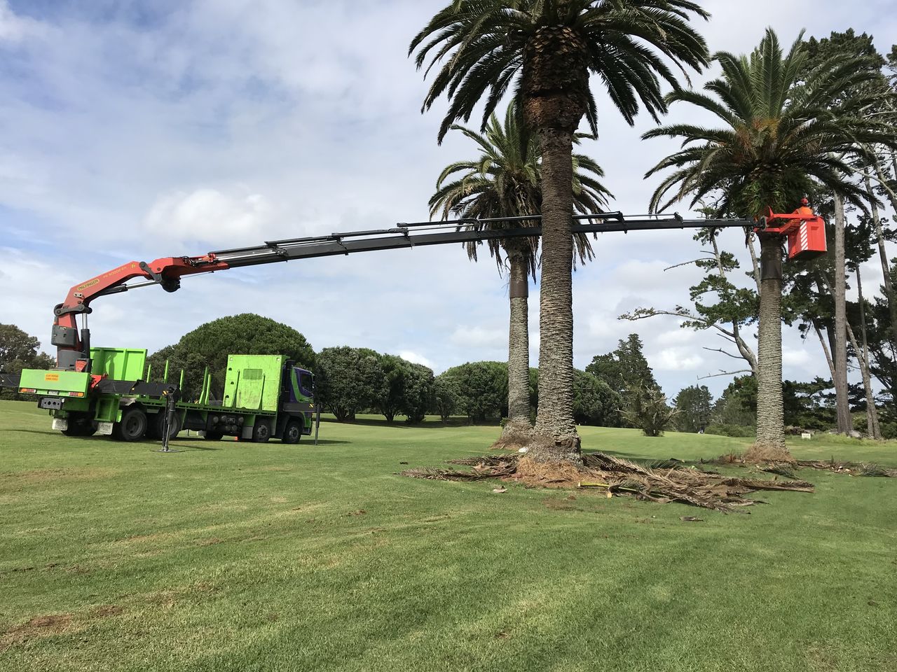 Crane extended into pines on a golf course