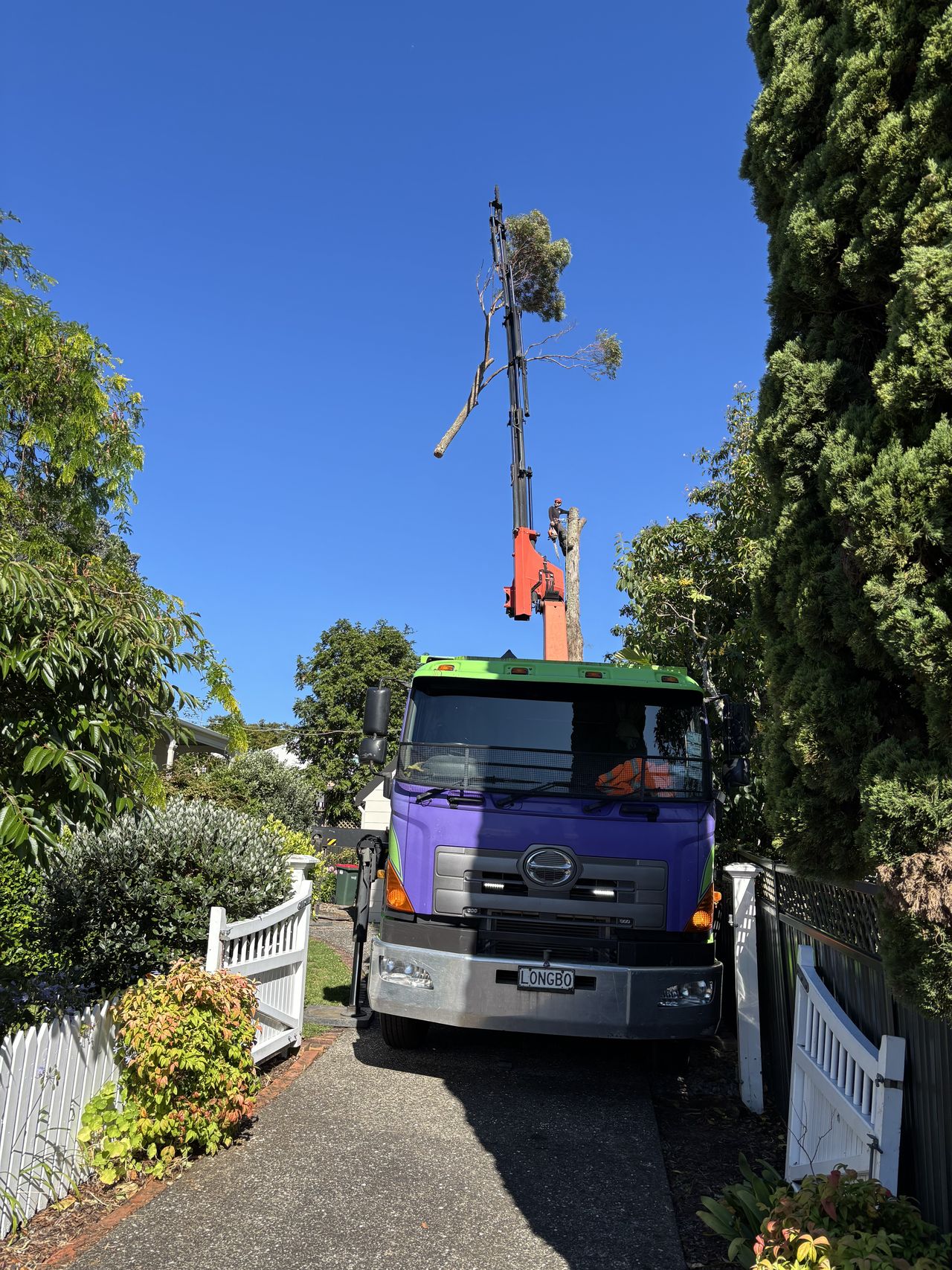 Crane boom extended over a house during tree work
