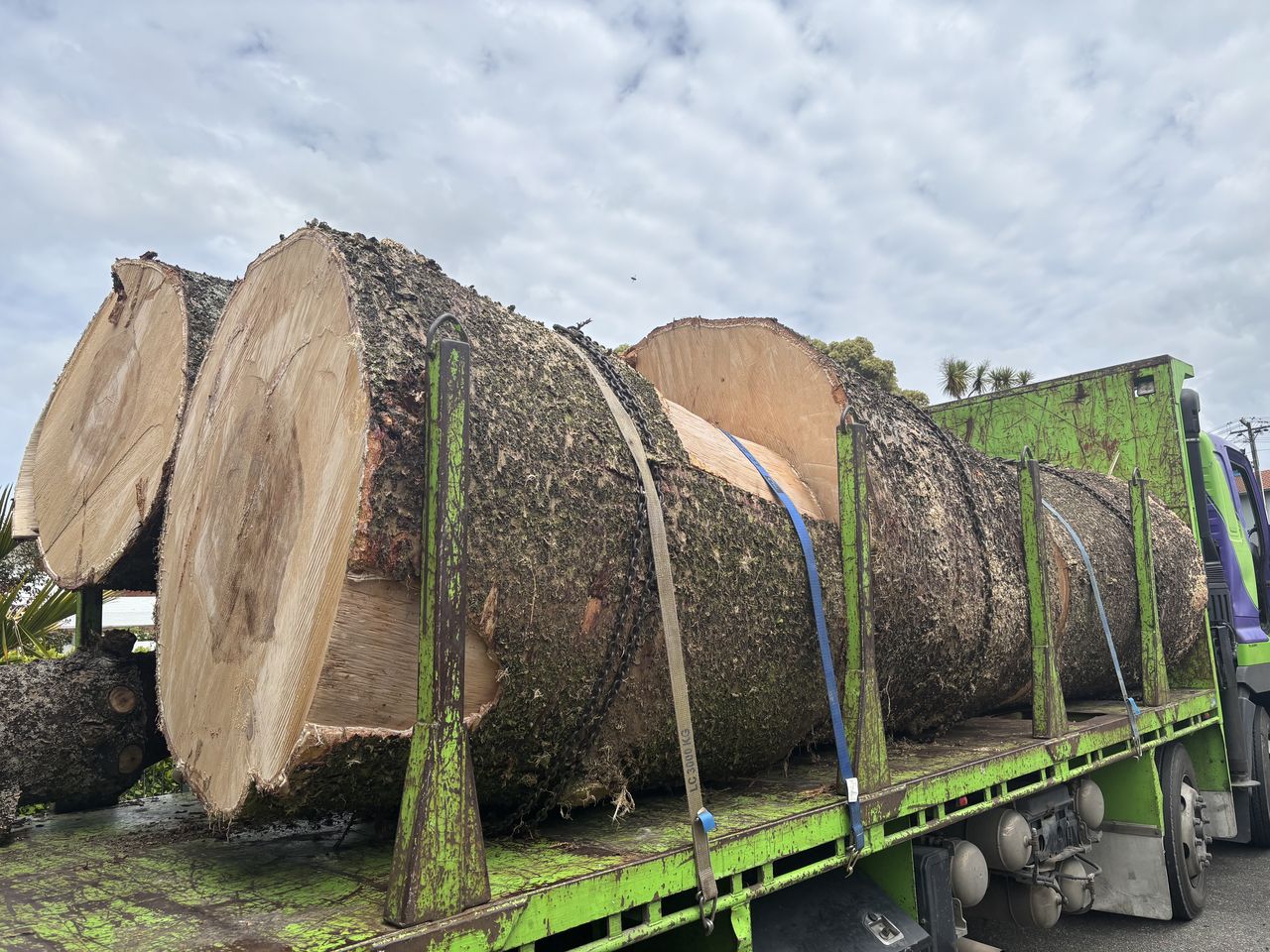 Log lengths loaded for removal.