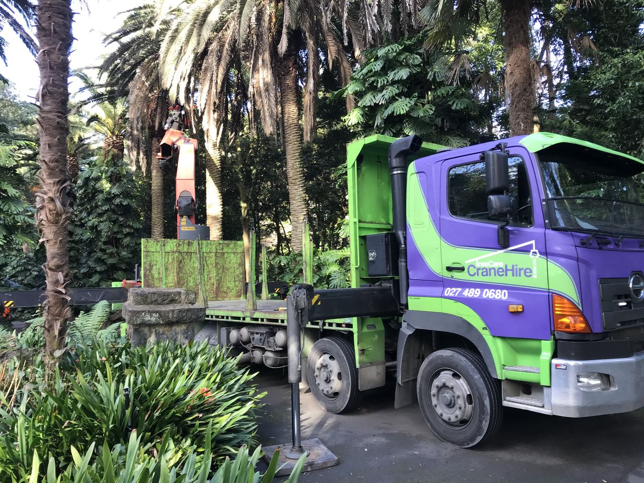 The truck positioned among mature palms